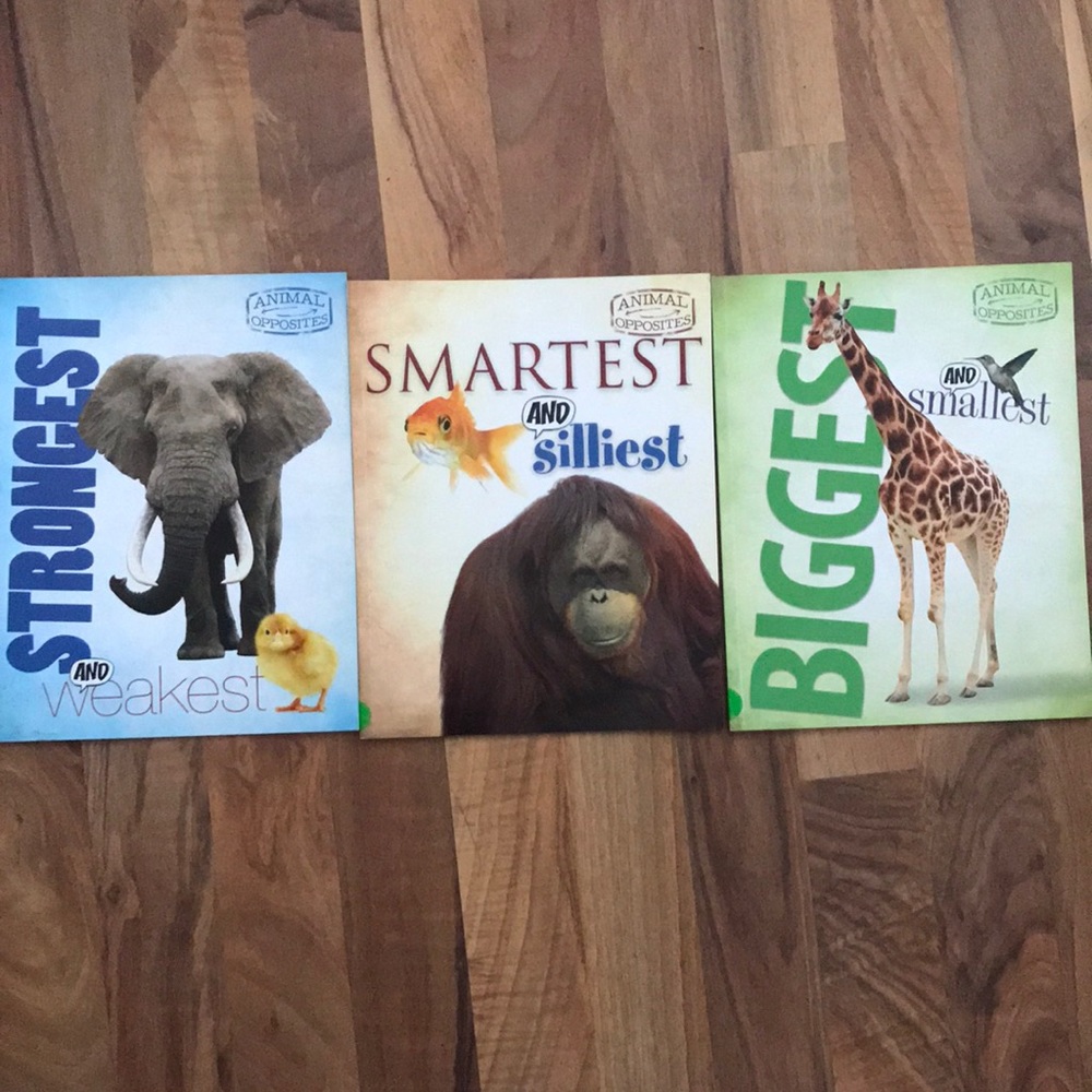 Animal Opposites book set